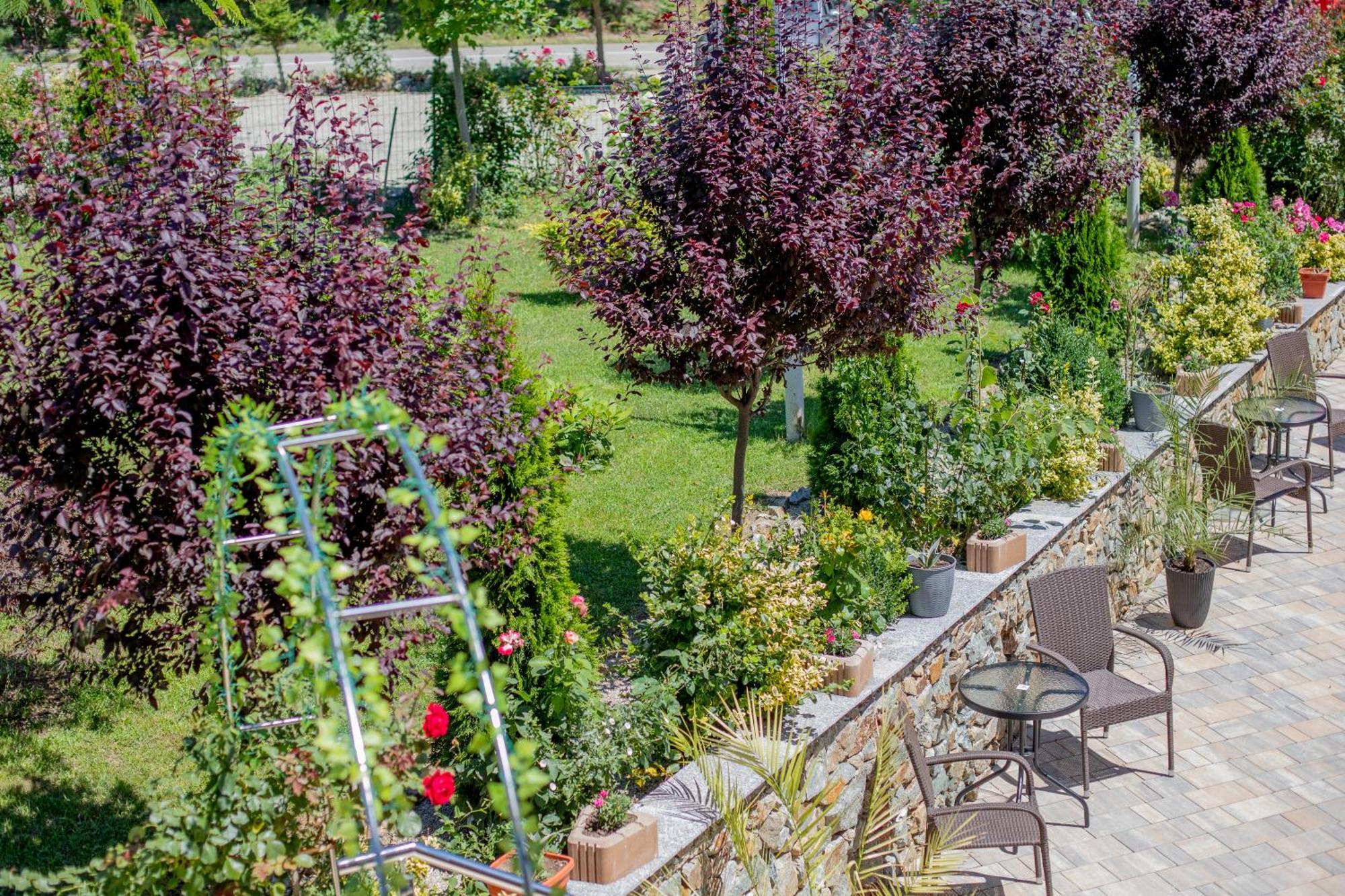 Hotel Rem Garden Novaci-Străini Exterior foto